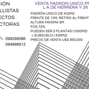 Padrón Unico Sobre L A De Herrera Y 26 De Marzo, Son 433m2