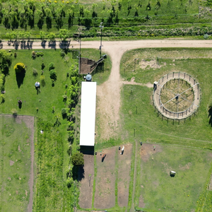 Venta | Campo En Los Cerrillos Con 33 Ha | Ic 233