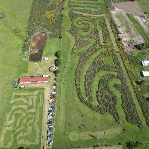 Venta | Casa, Parque De Fútbolgolf , Gastronomía Y Patio De Juegos.