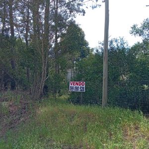 Terreno En La Paloma