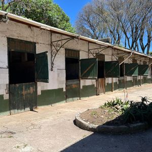 Importante Stud Con Doble Frente Y 36 Boxes