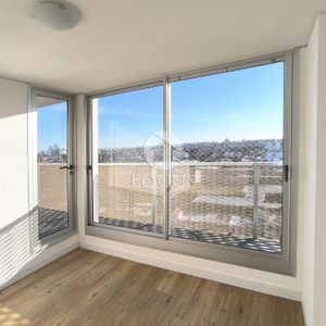 Venta Apartamento Con Renta 2 Dormitorios Y Terraza En Malvín