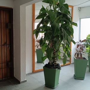 Oportunidad!! Vendo Apto.4 Dorm. C/renta,euskalerria 71.