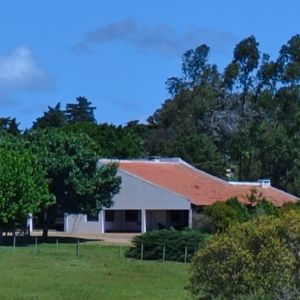 Exclusiva Chacra Con Ubicación Privilegiada Cerca De San Carlos: ¡una Oportunidad única!