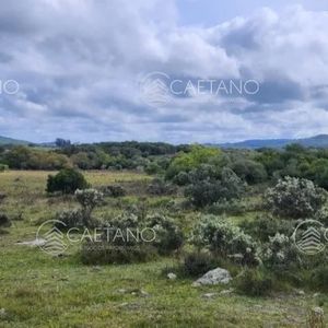 Venta Chacras Ruta 12 Maldonado