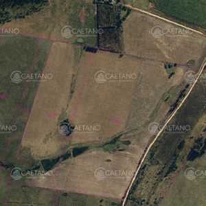 Venta Chacra Con 29 Hectáreas Estación José Ignacio