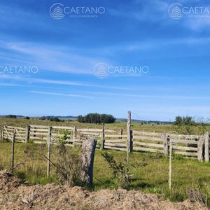Venta Chacras Linderas 4has Pueblo Edén