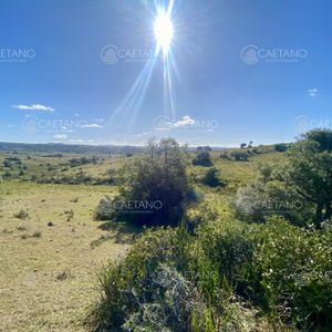 Venta Chacra 5 Hectáreas. Camino Del Olivo, Pueblo Edén.