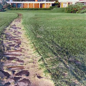 Terreno Solanas Primera Linea Frente A La Playa