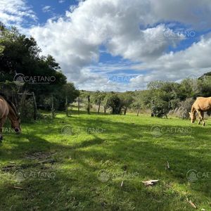 Venta Chacra Minas, Lavalleja