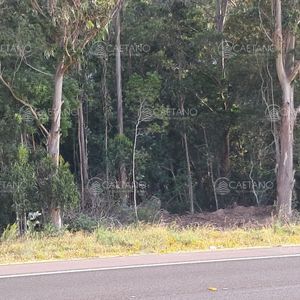 Venta Chacra Ruta 9