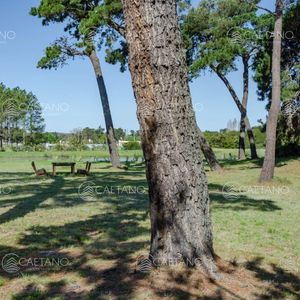 Venta Lote En Veramansa, Playa Mansa