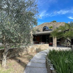 Alquiler Anual Casa Punta Del Este.