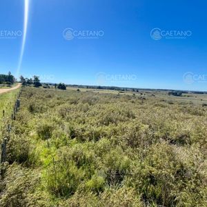 Chacra En Venta La Pataia 10 Hectareas