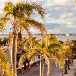 Venta De Apartamento A Pasos Del Puerto , 1 Dormitorio