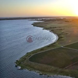 Venta Chacra 146 Hectareas Sobre Laguna Del Sauce