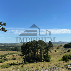 Venta | Campo 316 Hectáreas Ganadero / Forestal En Mariscala