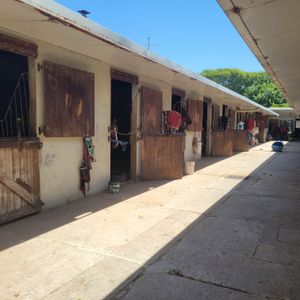 Venta De Stud En Maroñas