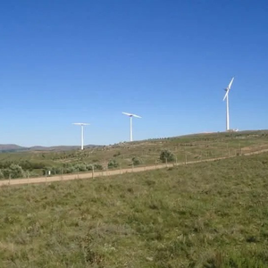 Campo De 247 Hectáreas En Venta - Palmar De Castillos, Rocha Sobre Ruta 9