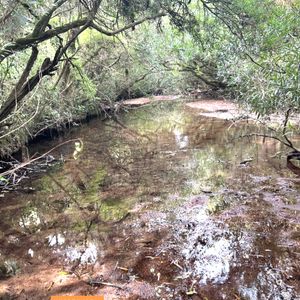 **reservado** Vendo Campo Ganadero/turístico De 130 Hectáreas En Garzon, Rocha