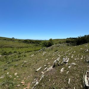 Venta Campo Ganadero En Lavalleja
