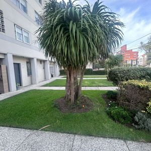 Venta Apartamento De 3 Dormitorios, 2 Baños Malvin