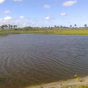Venta | Campo De 193 Ha En Castillos