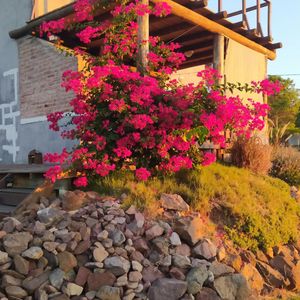 Venta | Casa En Balneario Las Flores