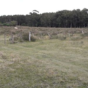 Gran Oportunidad Para Invertir En Esta Maravillosa Zona De Rocha