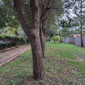 Impecable Terreno Predio Listo Para Construir,