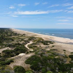 Campo 55 Hectáreas En Rocha A Metros Del Mar