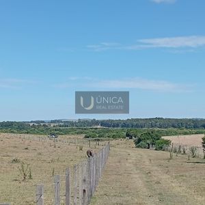 Chacra 18 Hectareas  A 15 Minutos De Manantiales