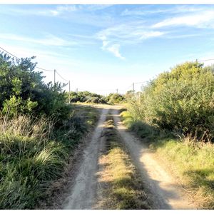 Terreno En Punta Rubia