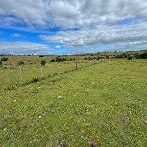 Venta .campo Cerro Largo