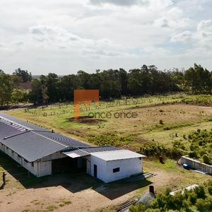 Haras / Centro Ecuestre En Venta 3 Hectáreas 32 Boxes Canelones