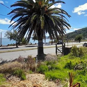 Terreno En La Rambla De Punta Fria Con Vista Al Mar