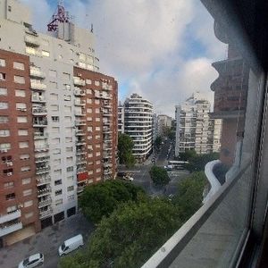 Mario Cassinoni Y Colonia