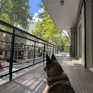 Al Sur, Prox Rambla, Reciclado Con Diseño Amplio Muy Luminoso Garage