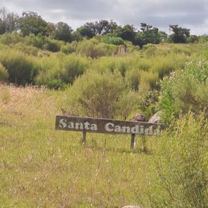 Campos 77 Hectáreas Las Cañas, Maldonado A 50 De Punta Del Este 
