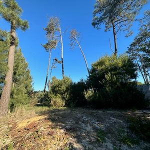 Terreno Metros De Ibicuí, El Pinar.