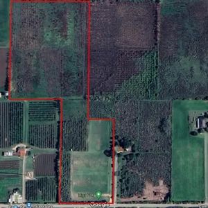 Campo Plano De 50000 M2 En El Límite De Melilla Con Paso De La Arena