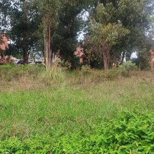 Terreno Sobre Ruta 8, Km 120.