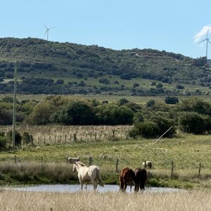 ​pueblo Edén: Chacra  5 Hectáreas Con Costa De Arroyo Y Domo