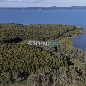 Chacra De 5 Hectáreas Con Costa A La Laguna - Entorno Natural Y Máxima Privacidad
