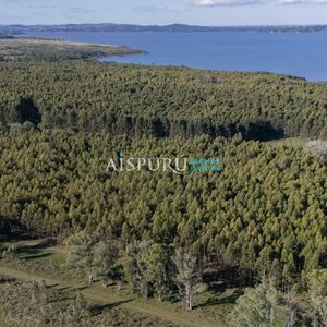 Chacra De 5 Hectáreas Con Costa A La Laguna Y Puertito Propio