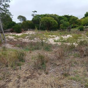 Excelente Terreno Esquina, Limpio,  Listo Para Construir En La Paloma, Rocha