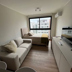 Pocitos Monoambiente Alquiler Con Muebles Luminoso