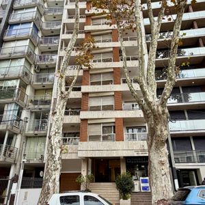 Alquilo Precioso Monoambiente En Un 7mo Piso En Pocitos