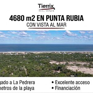 Chacra De 4.680 M² Con Vista Al Mar En Punta Rubia