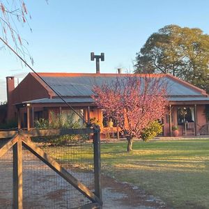 Exclusiva Chacra Con Encantadora Casona De 3 Dormitorios, Un Oasis De Tranquilidad A Solo 10 Minutos De Colonia Del Sacramento.